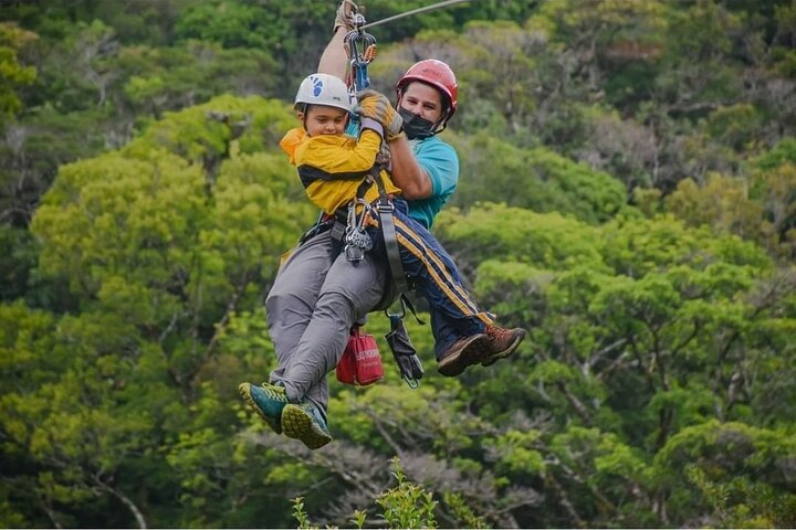 Combo Original Canopy (Tarzan Swing - Hanging bridges - Rappel & Climb tree - Photo 1 of 5